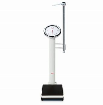 SECA 786 + SECA 224 MECHANICAL COLUMN SCALES WITH LARGE ROUND DIAL incl MEASURING ROD